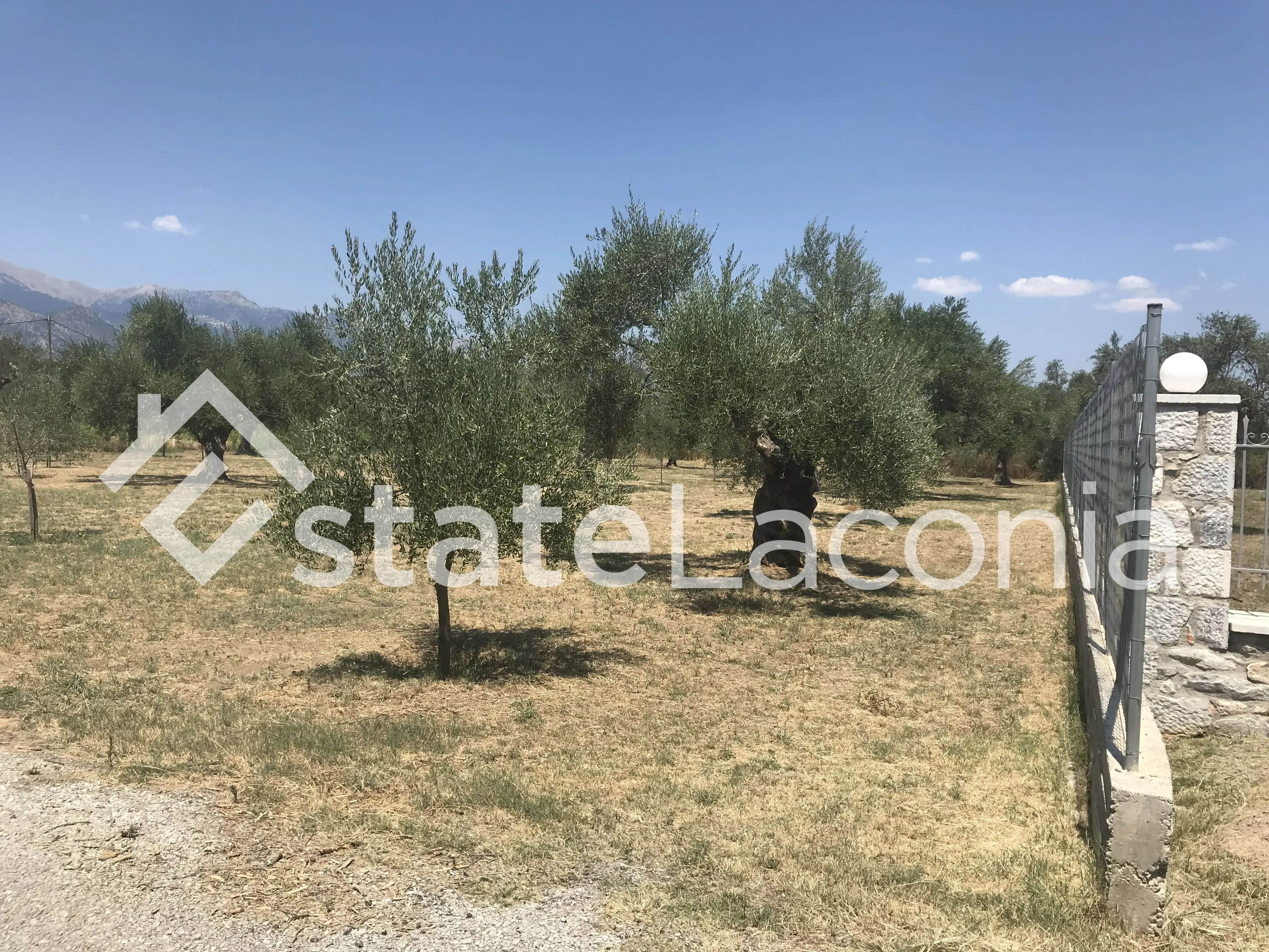 Land plot 2000sq.m.