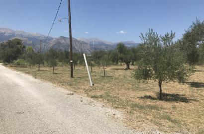 Land plot 2000sq.m.