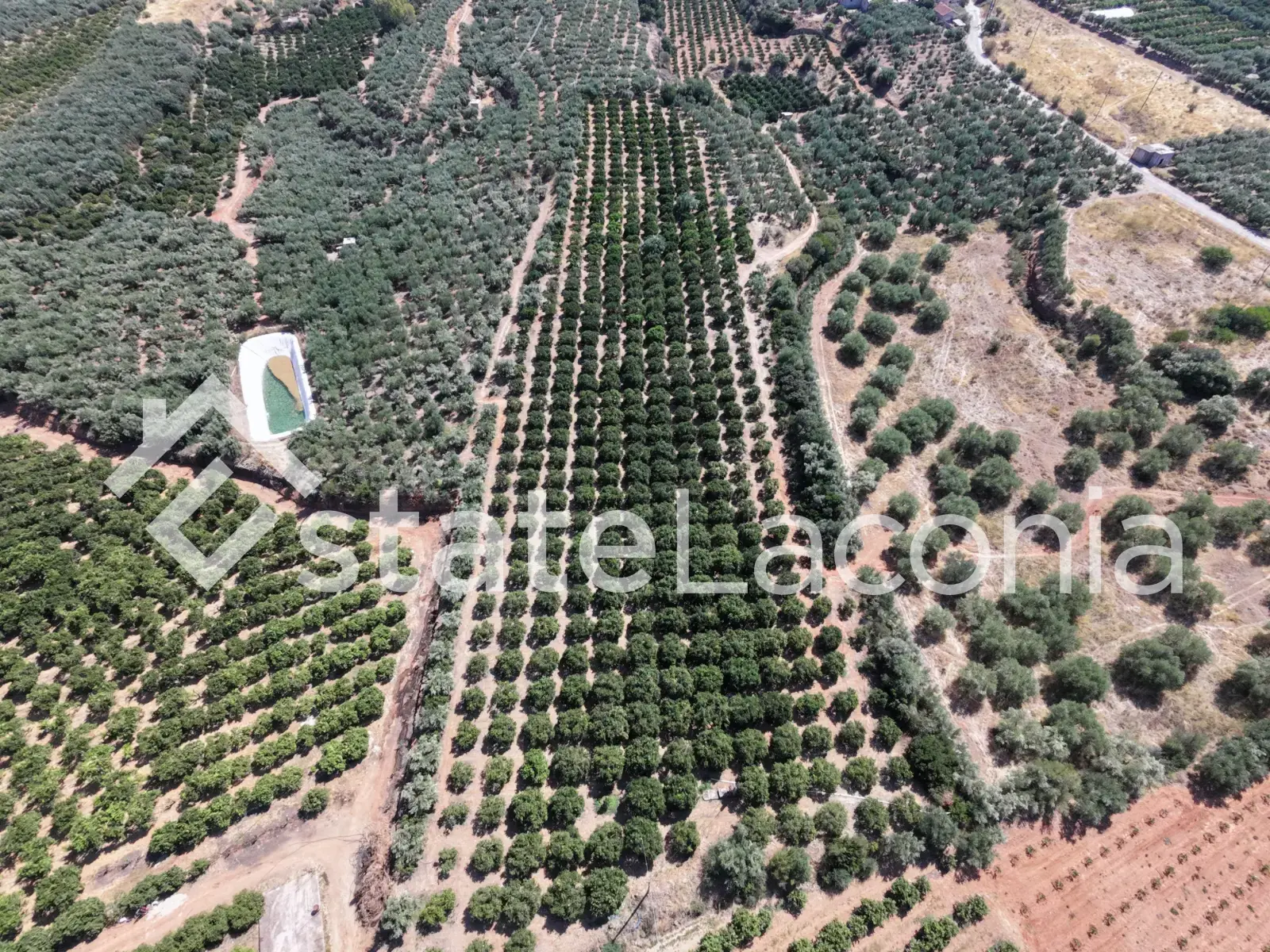 Productive Agricultural Land of 13,800 m² with Borehole & 580 Trees – Kato Glykovrysi