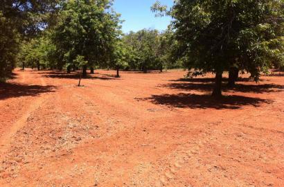 Parcel 17.500sq.m.