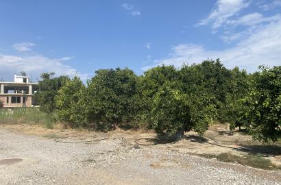 Land plot 504sq.m.